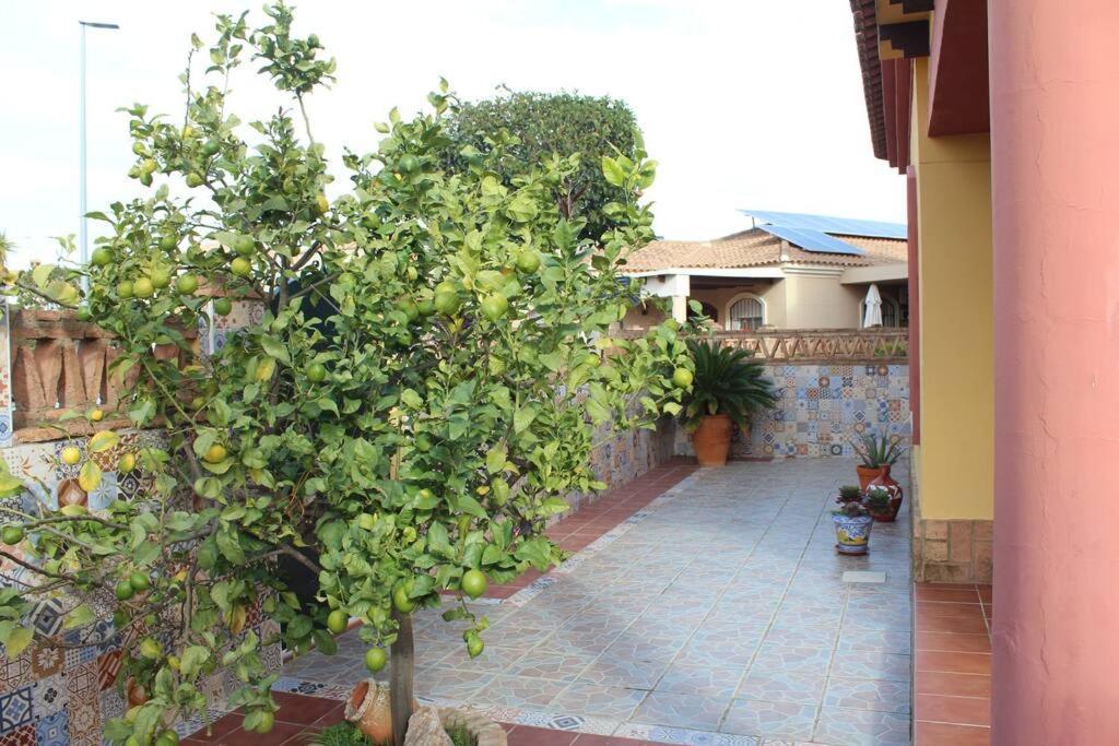 Casa 4 Dormitorios En Ayamonte Luaran gambar